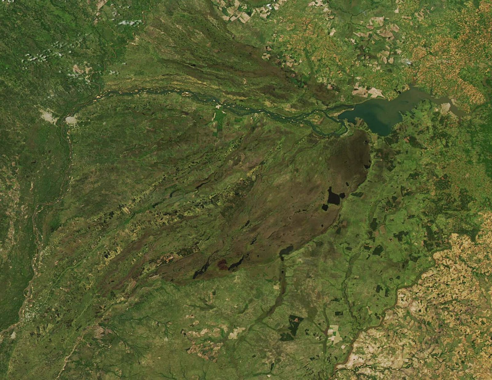 Legacy in Modern Ecosystems (image credits: wikimedia)