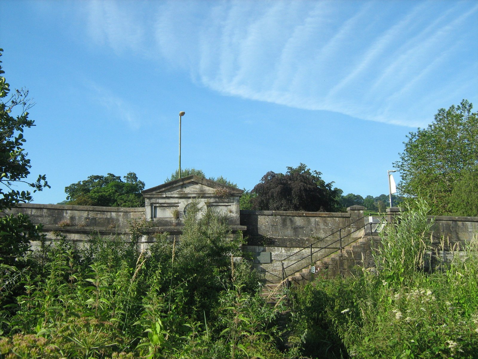 Nature's Silent Takeover (image credits: wikimedia)