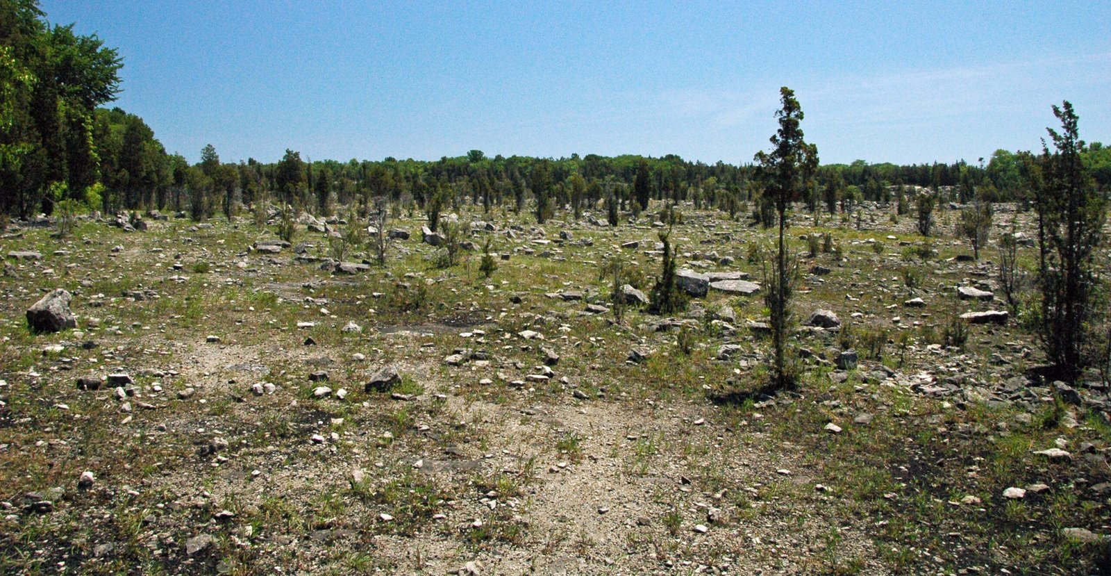 The Call to Action (image credits: wikimedia)