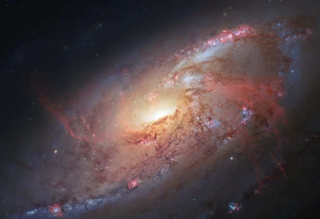 Decoding Light: The Universe's Visual Language