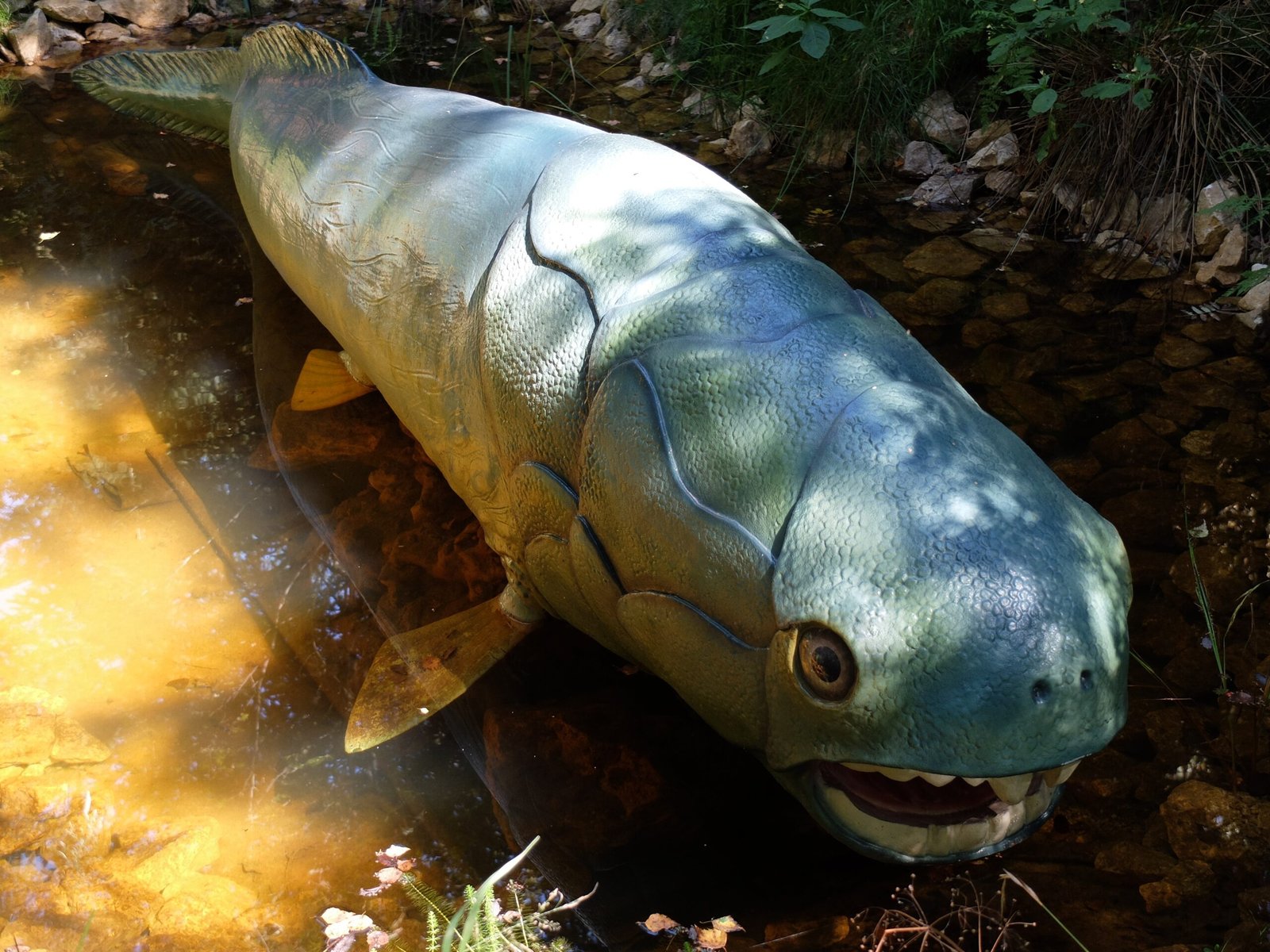 Anatomy of a Predator (image credits: wikimedia)