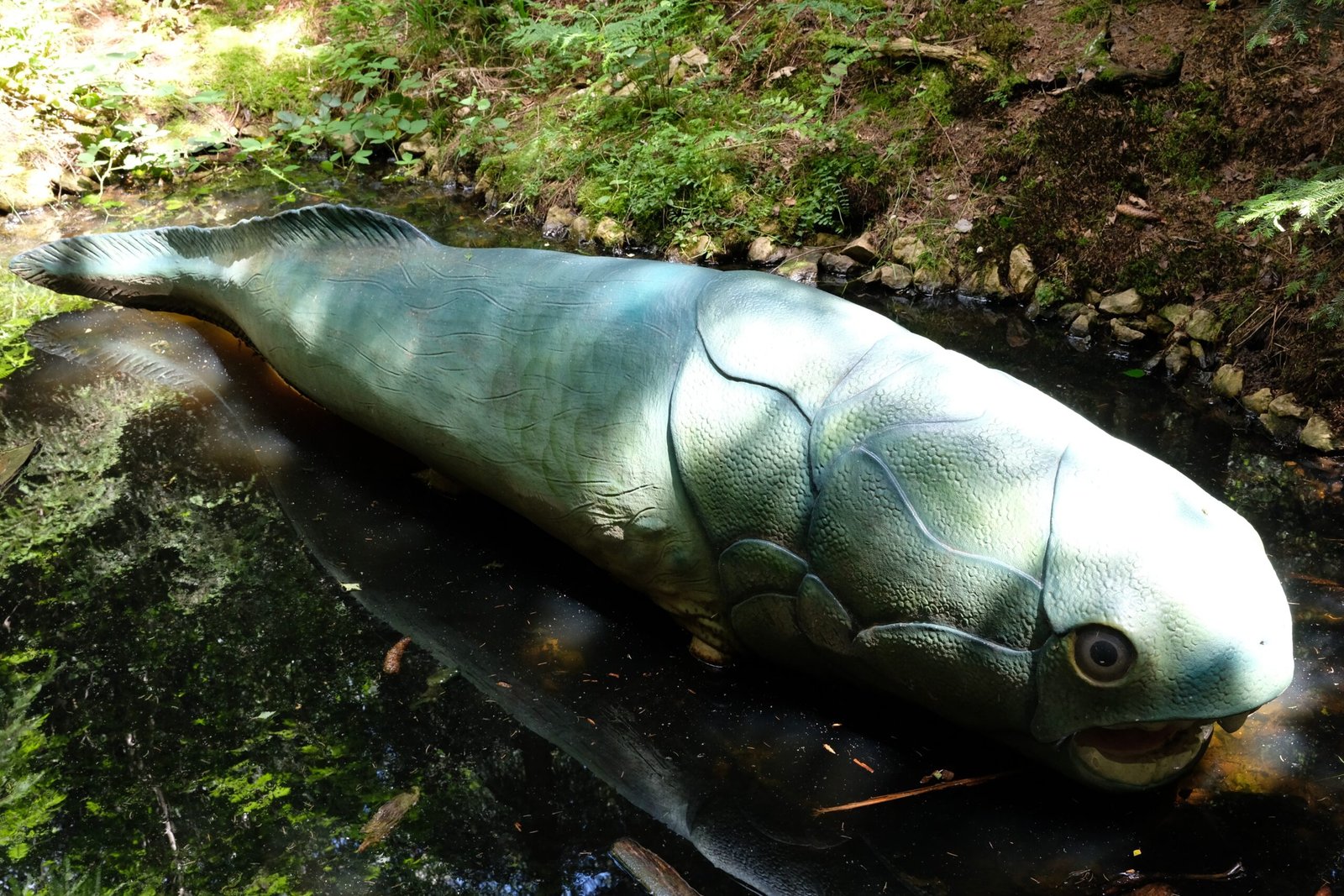 The Evolutionary Significance of Armored Fish (image credits: wikimedia)