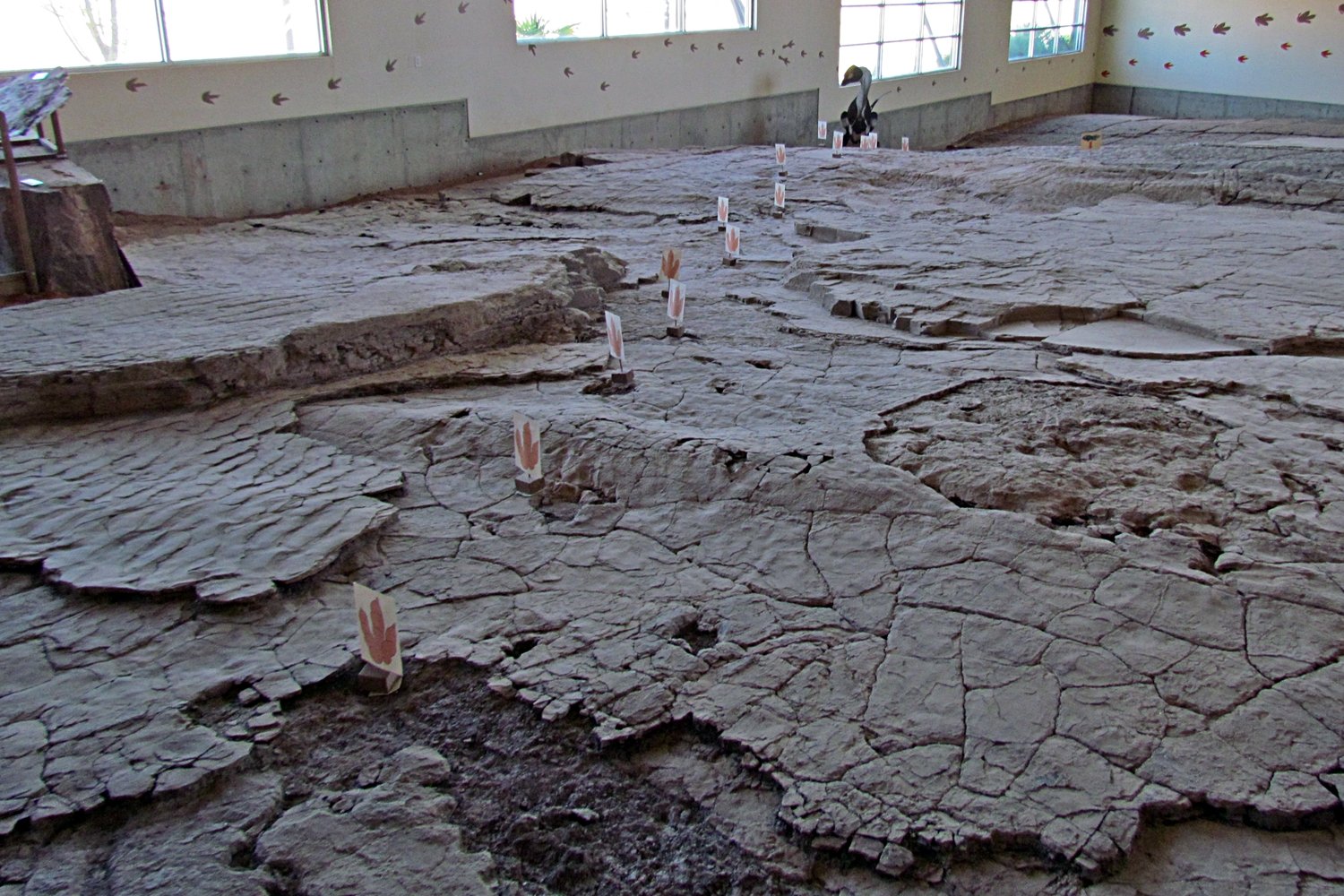 Technological Advances in Skin Fossil Analysis (image credits: wikimedia)