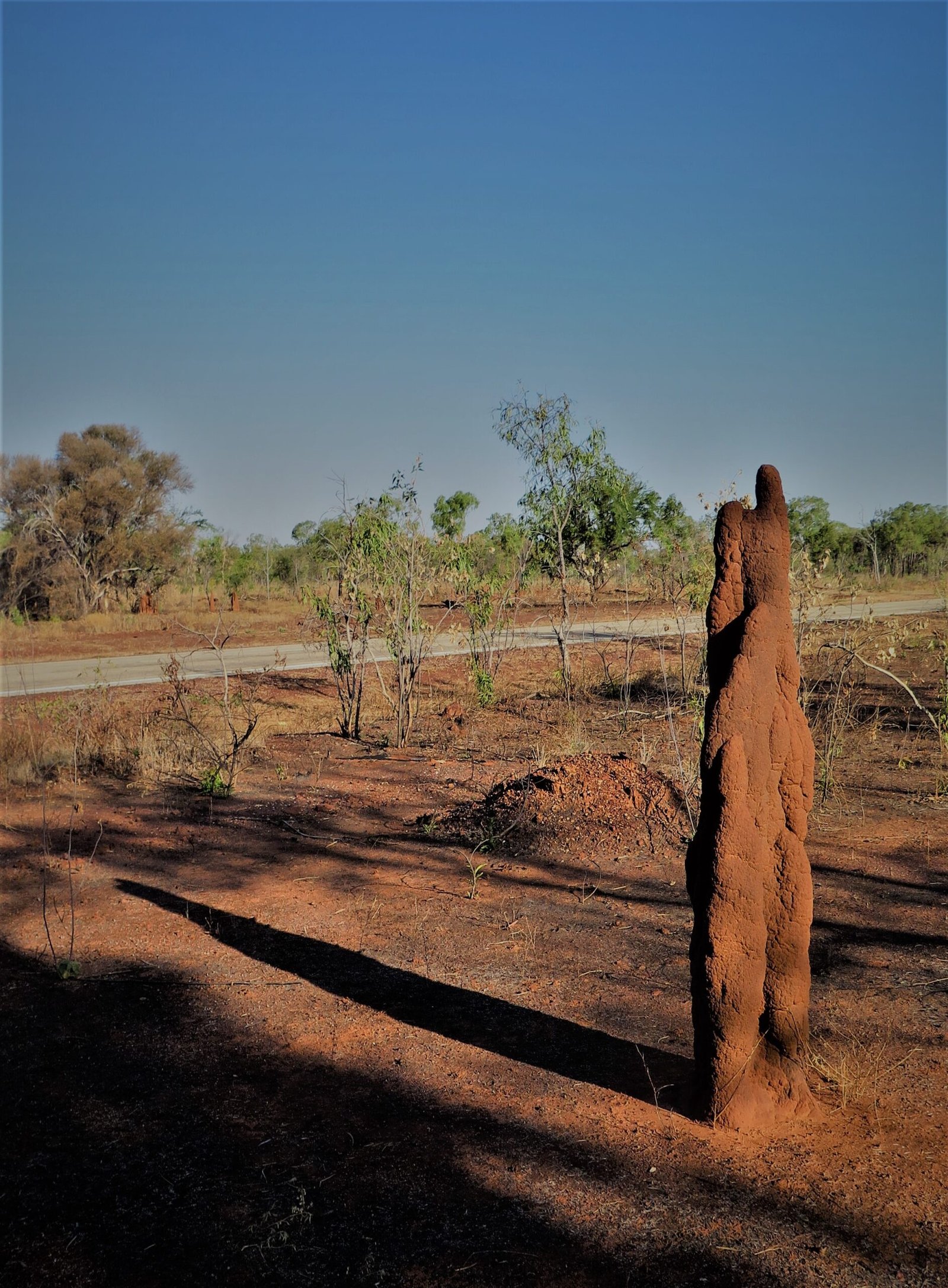 Uncovering the Ruins (image credits: wikimedia)