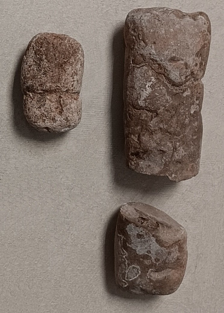 The Origins of Coprolites (image credits: wikimedia)