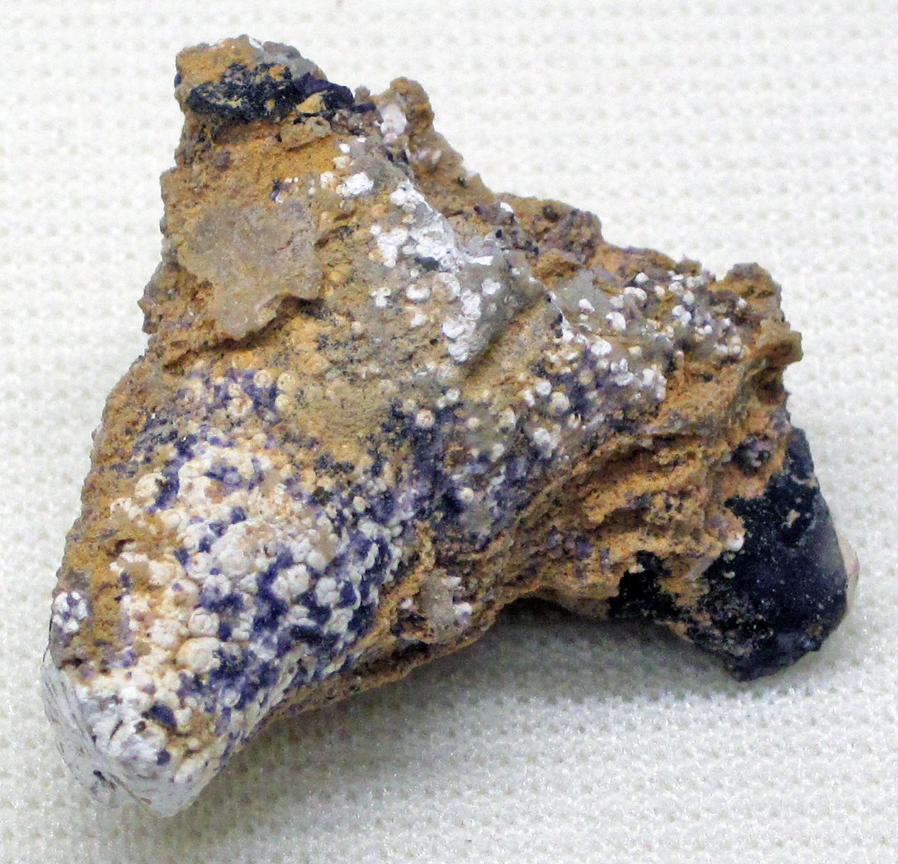 The Future of Organic Matter Research (image credits: wikimedia)