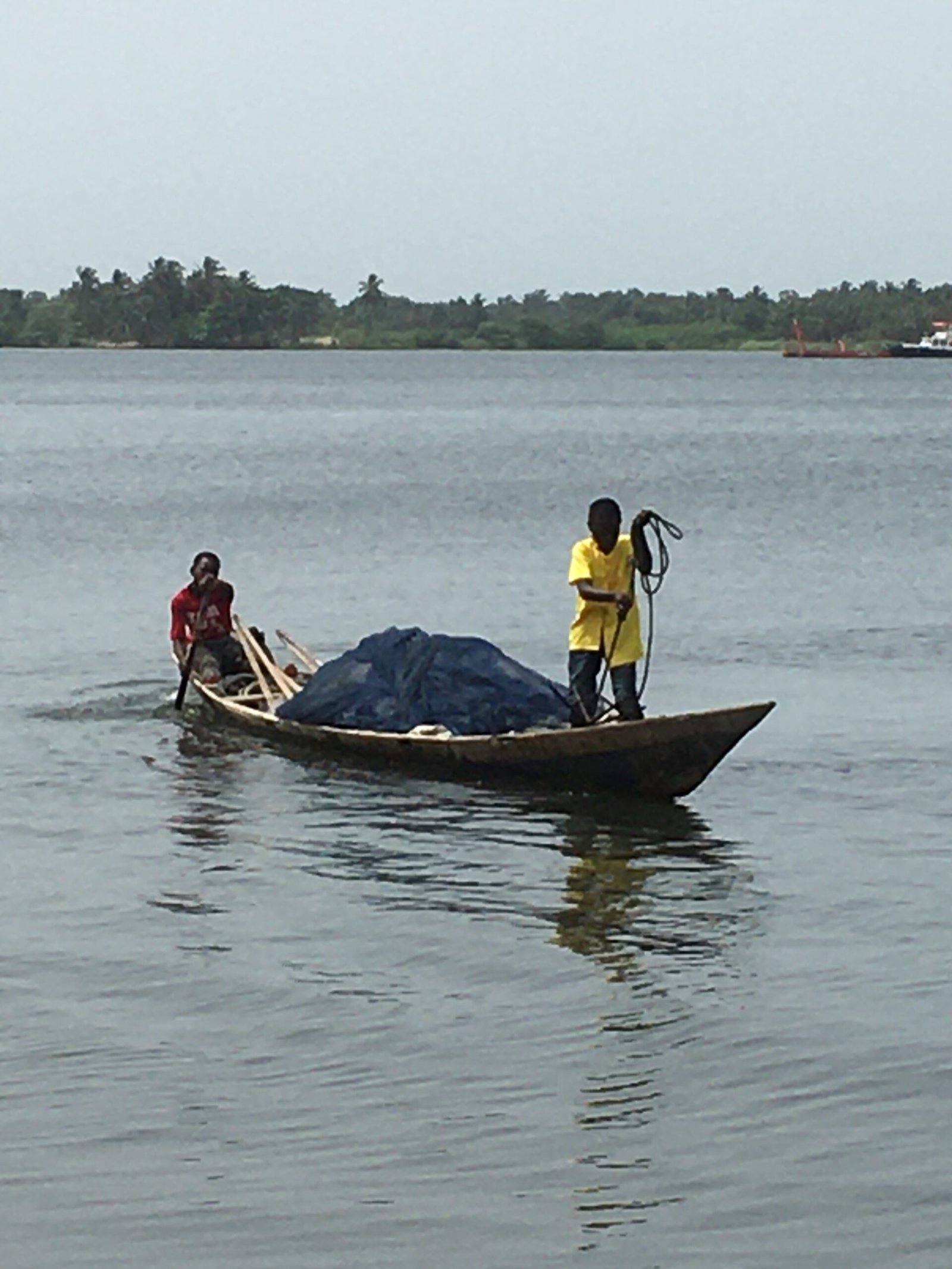 Sustainability and Environmental Impact (image credits: wikimedia)