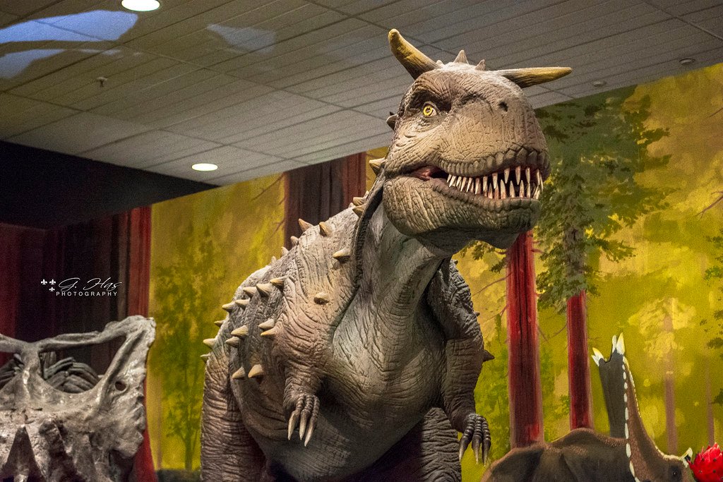 Australia dinosaurs