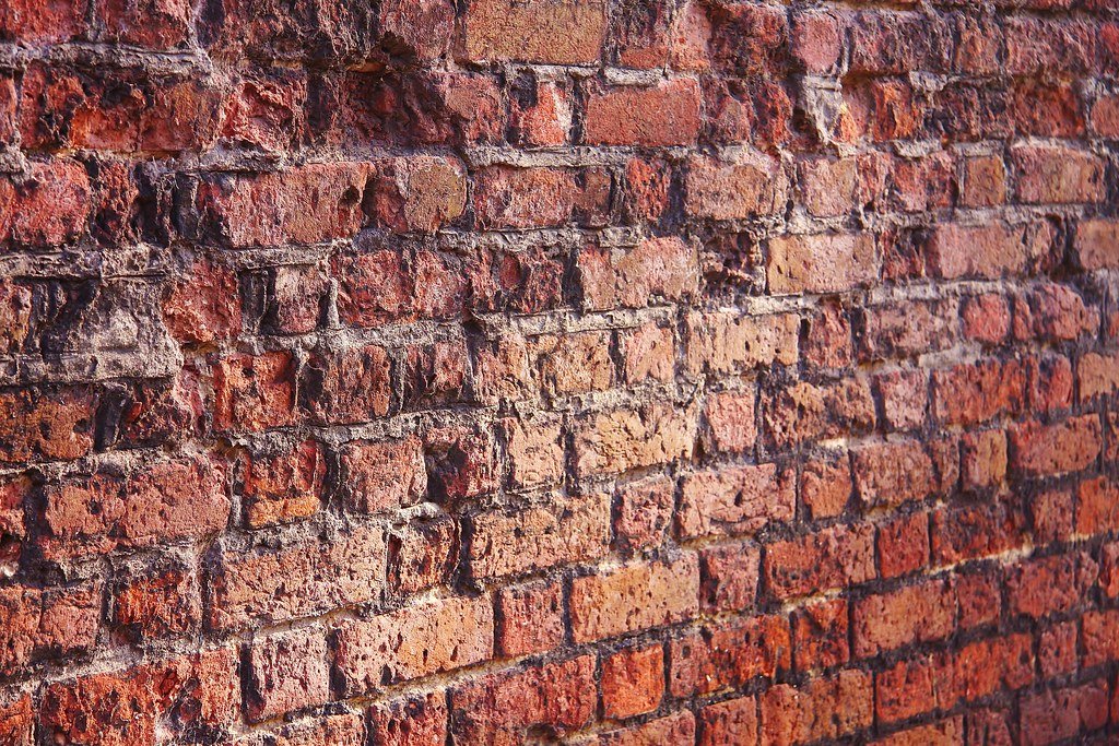 The Race to Create Bio-Bricks Made from Bacteria and Organic Waste