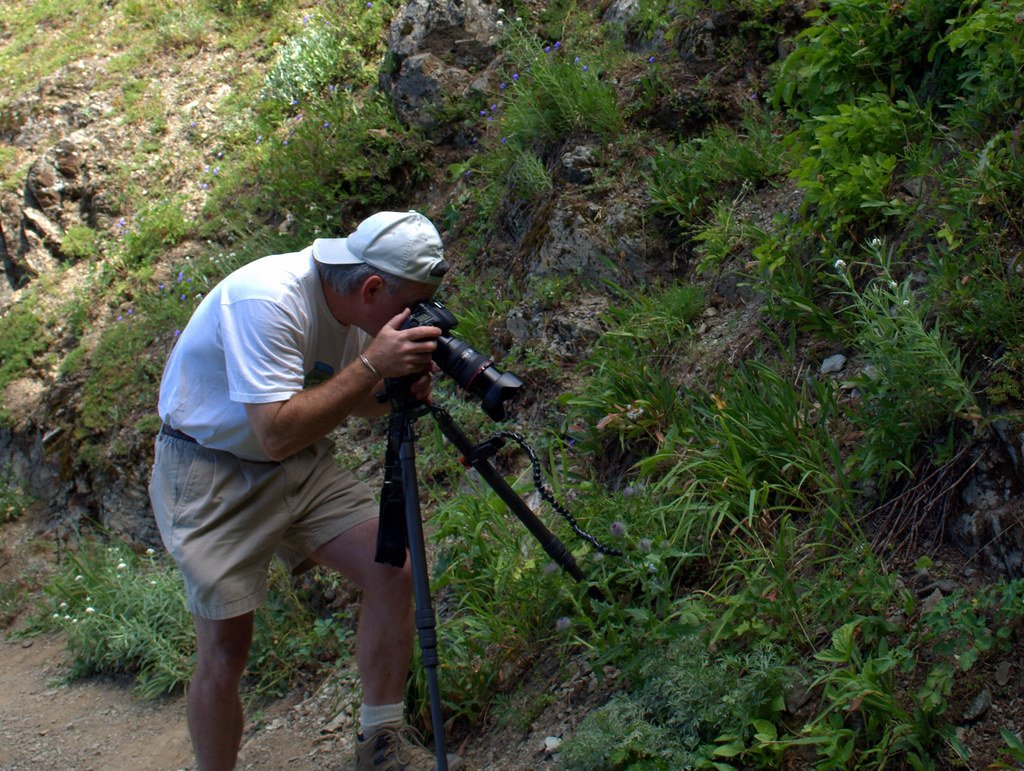 Rare animals, wildlife photography