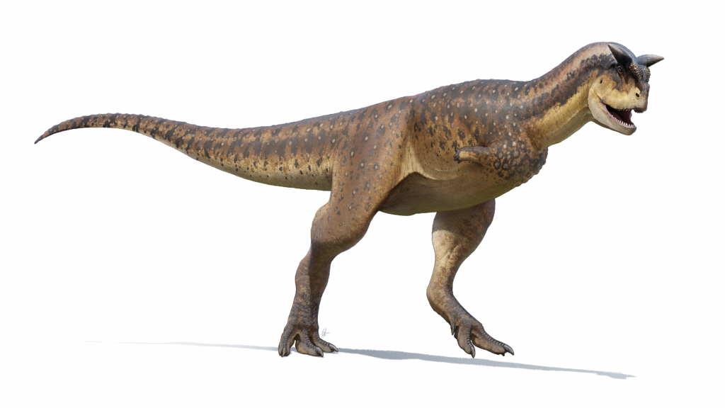 Carnotaurus Reconstruction (2022).