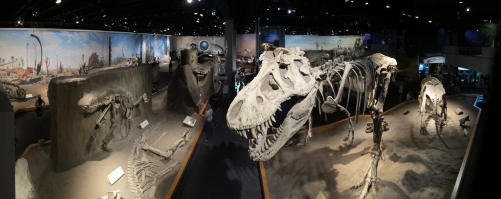 Royal Tyrrell Museum of Palaeontology, Canada