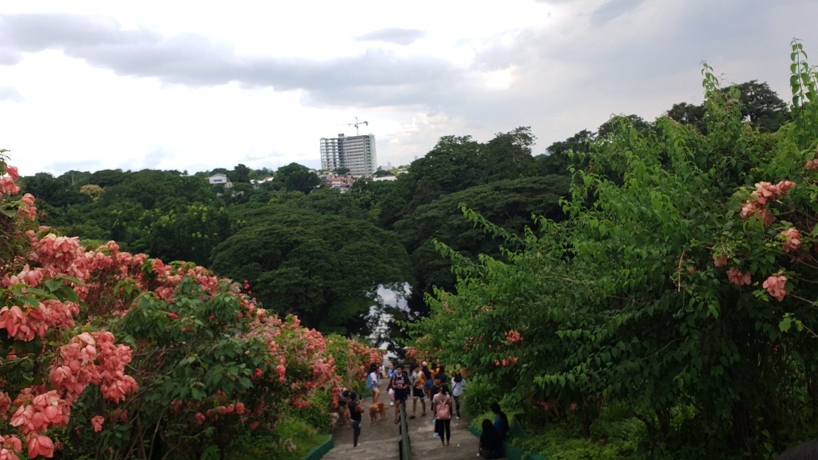 Urban Green Spaces: The Rise of Eco-Friendly Parks in Metro Manila