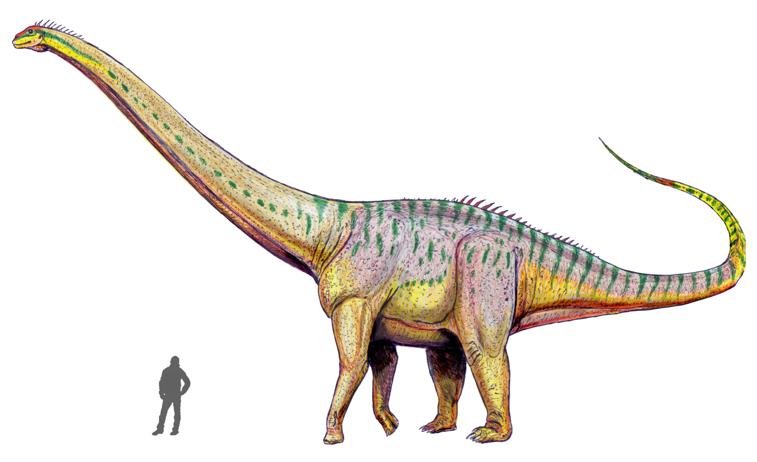 Could We Bring Back the Megafauna? The Science Behind De-Extinction