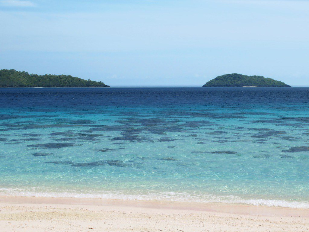 The Coral Triangle, biodiversity
