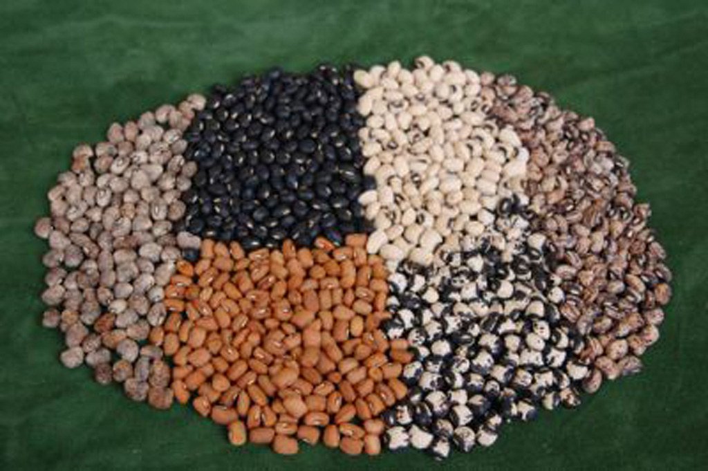 Seed diversity.