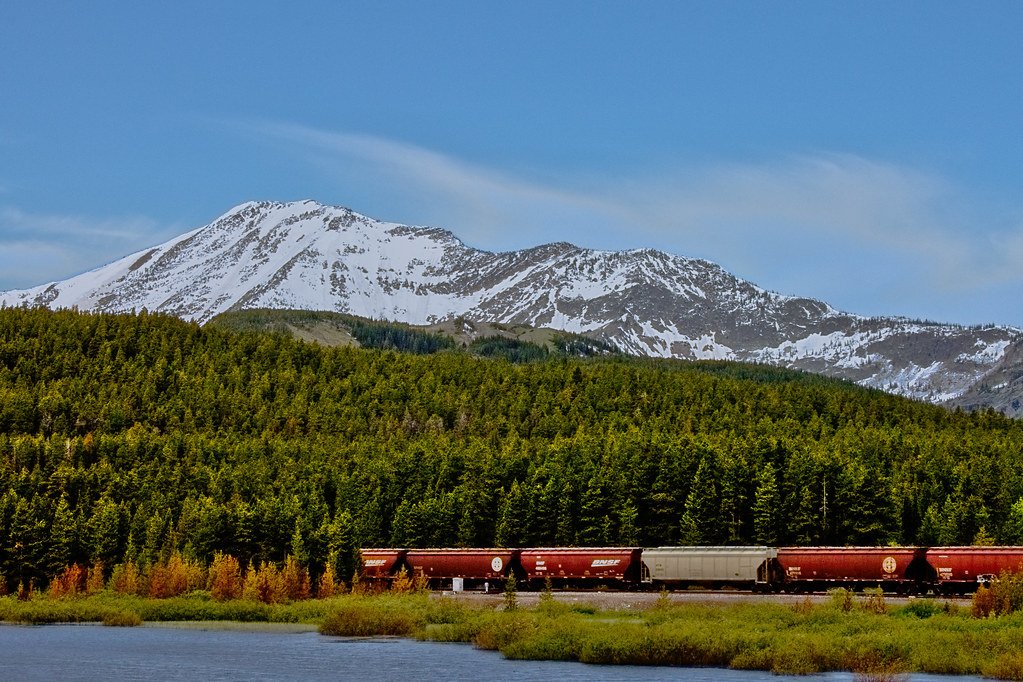 Montana forest, public land, wilderness