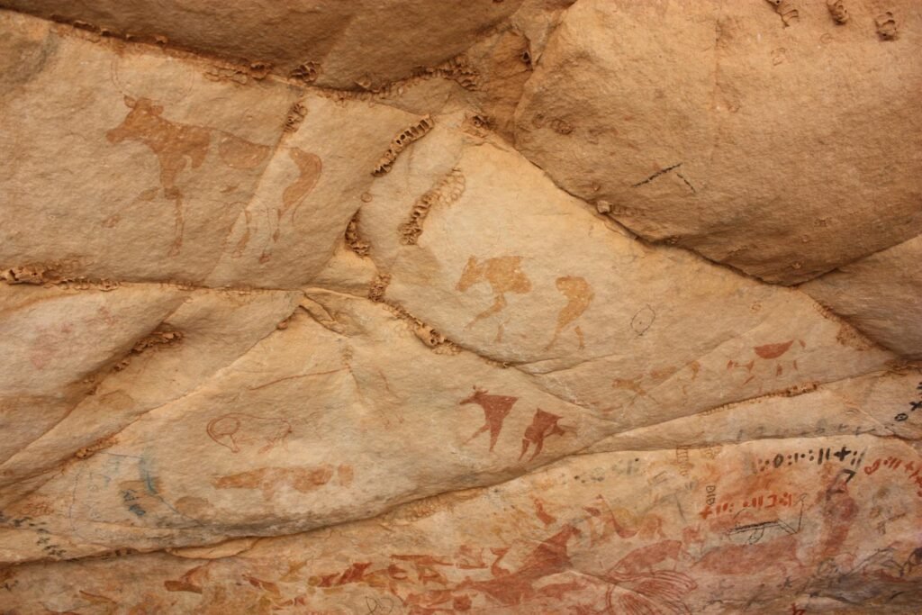 Ancient rock art depicting prehistoric life.