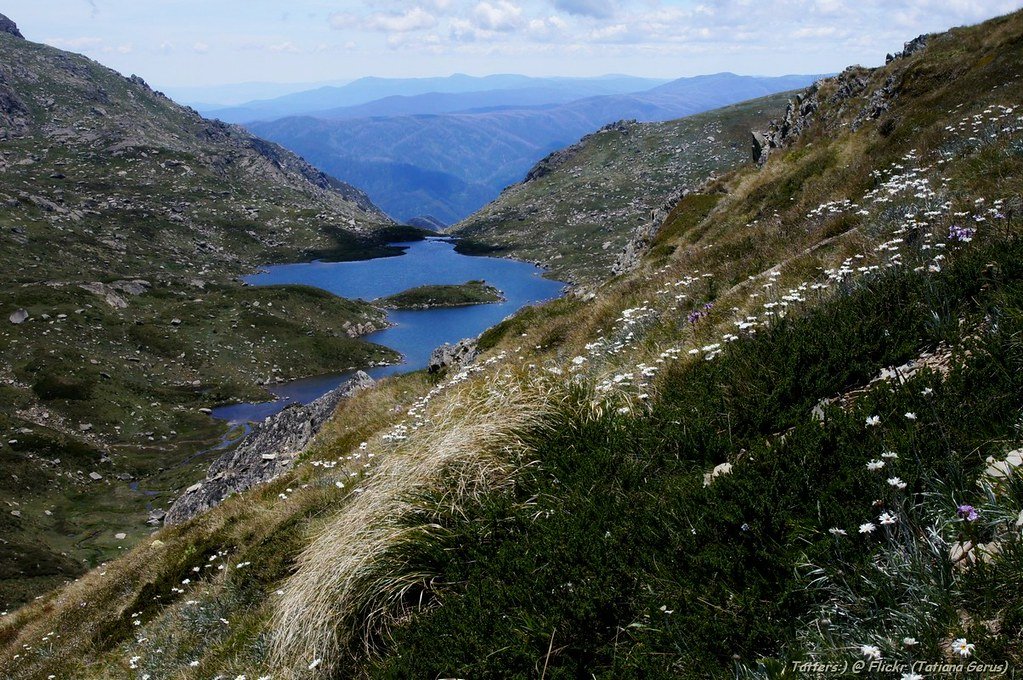 ACT national parks, native species