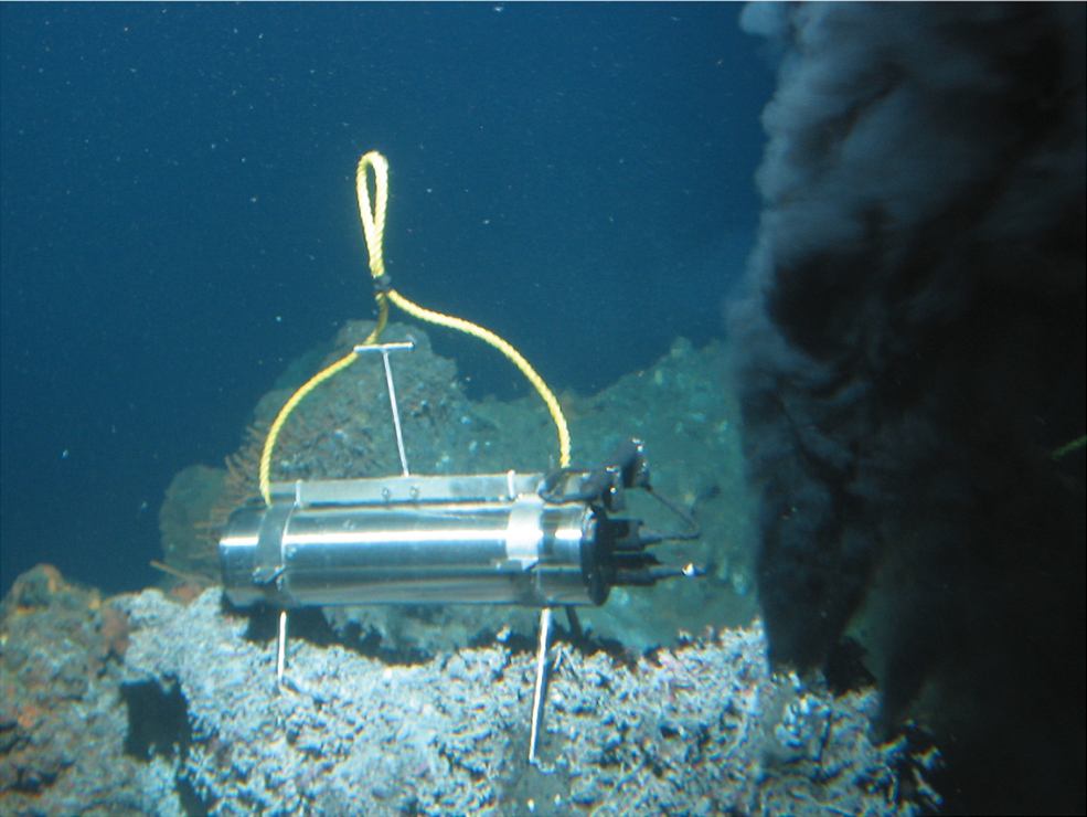 Hydrothermal vent.