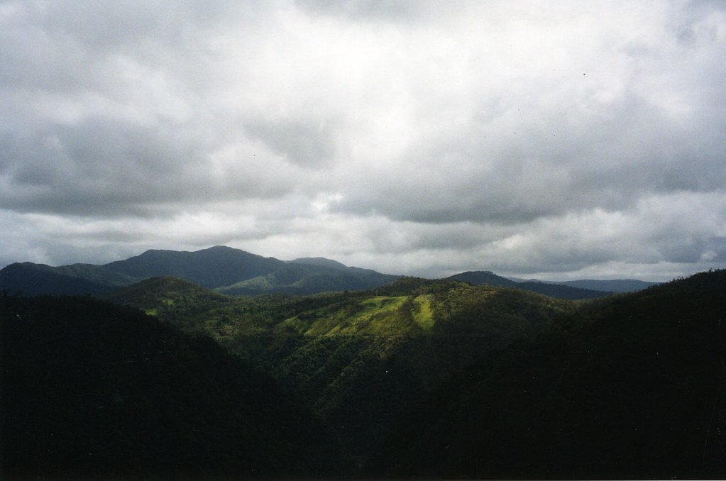 Beautiful North Queensland Rainforest.