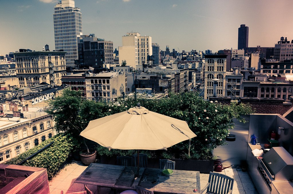 NYC green roof movement, roof garden