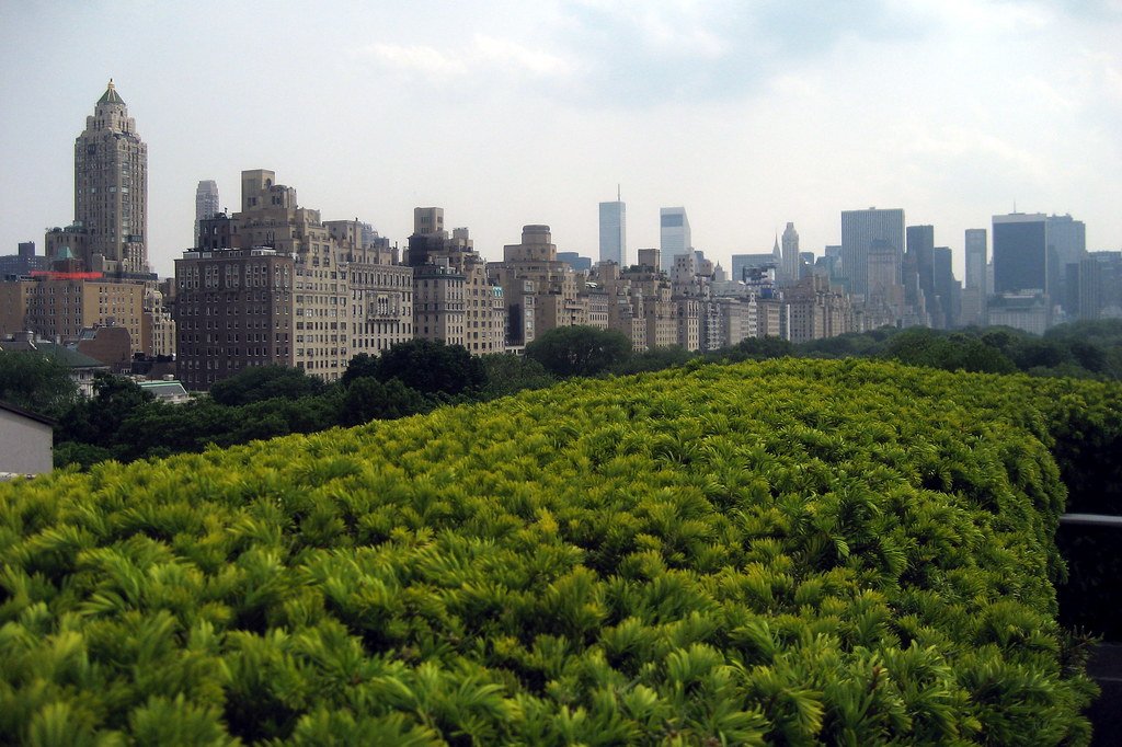 roof garden, NYC