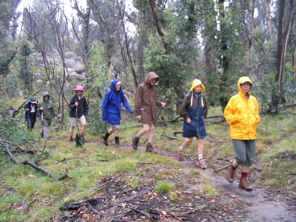 ACT national park, native species