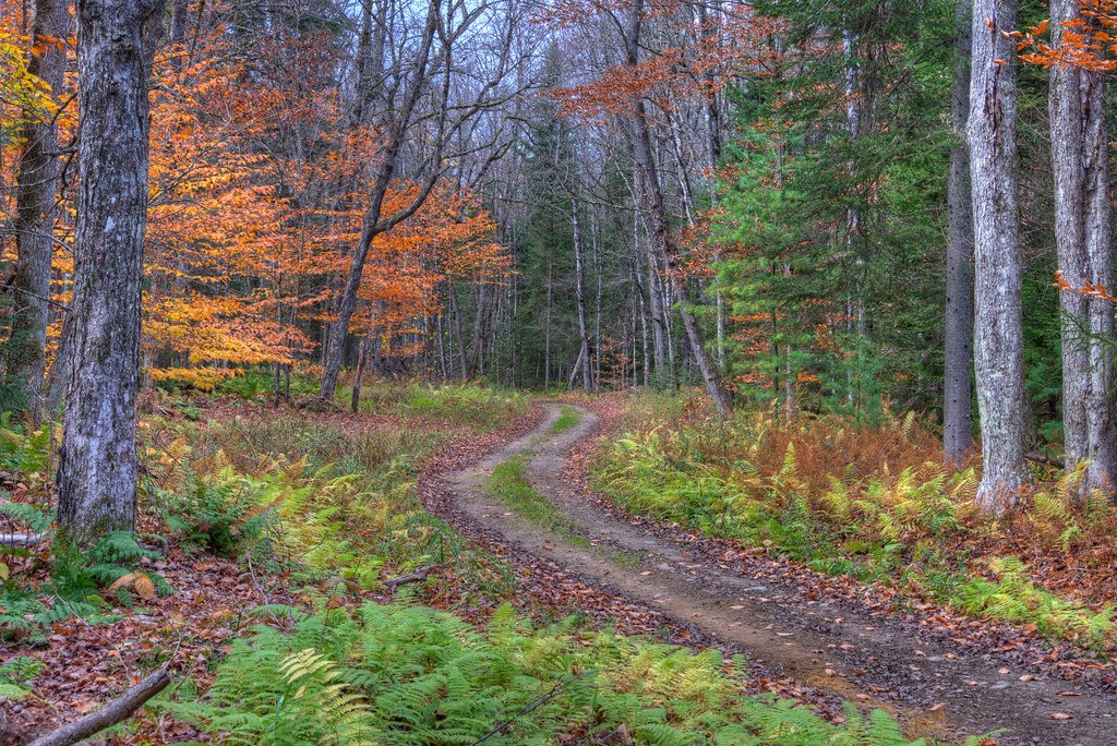 Adirondack mountains