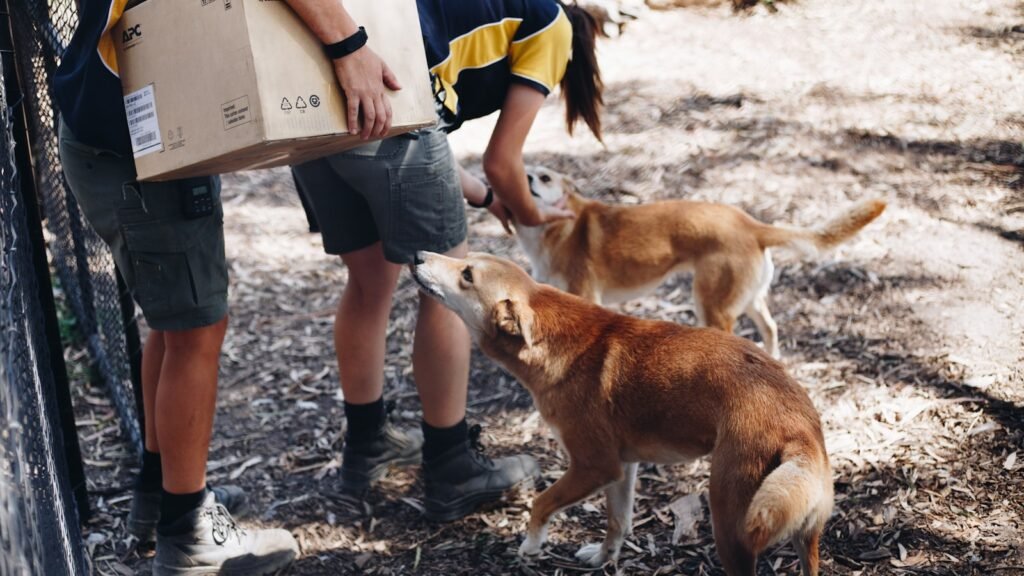 Two person standing beside two dogs.