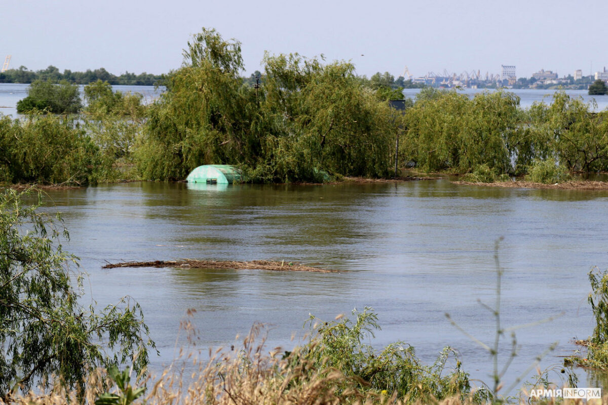 Environmental Impact of the Kakhovka Dam Collapse: Assessing Long-Term Consequences