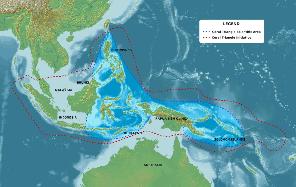 Coral Triangle, biodiversity