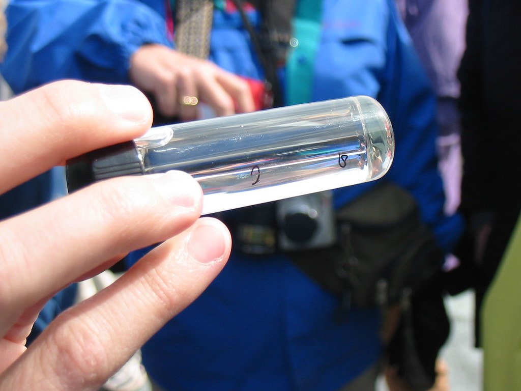 Ice worm, Alaska, glacier