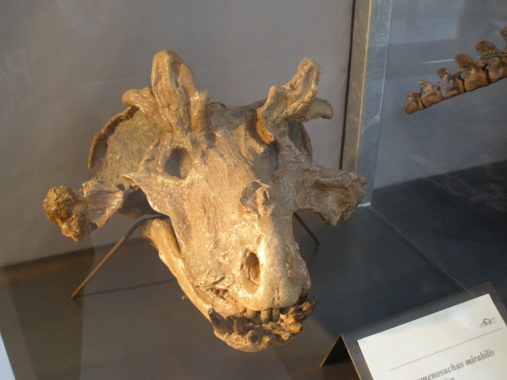 Estemmenosuchus, prehistoric creature