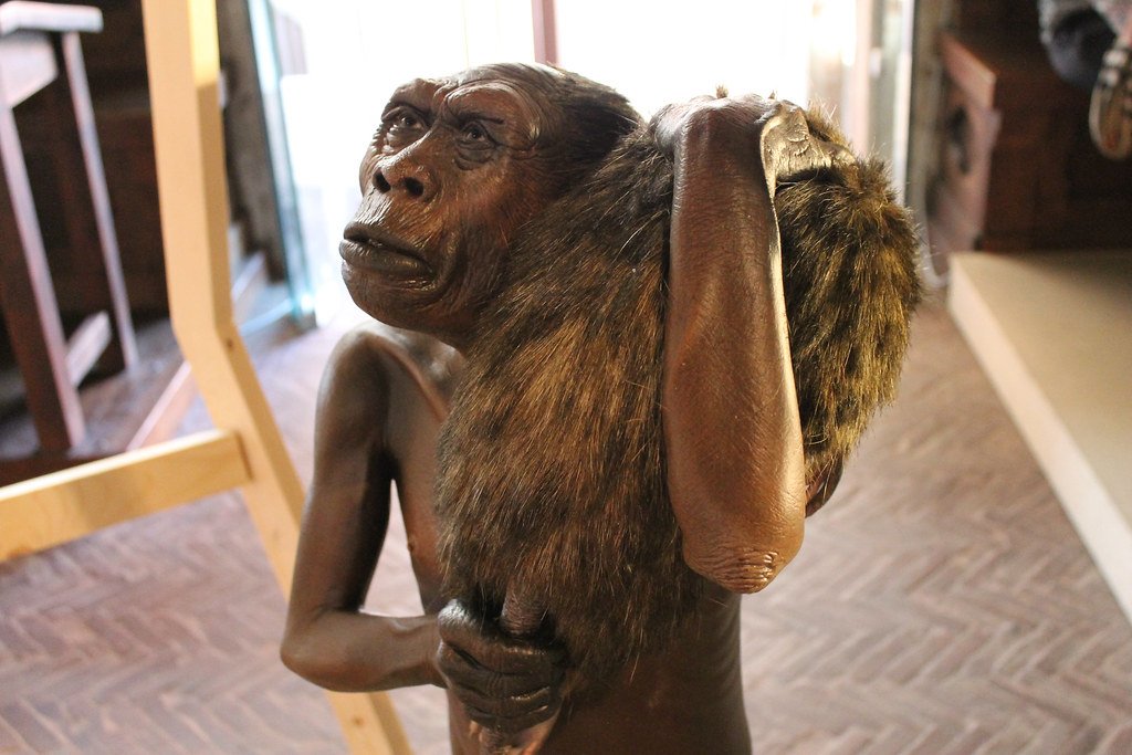 Homo floresiensis