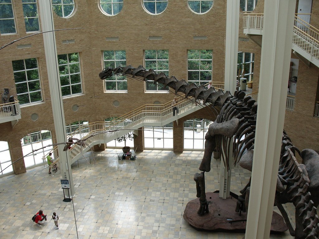 The dinosaurs in Great Hall.