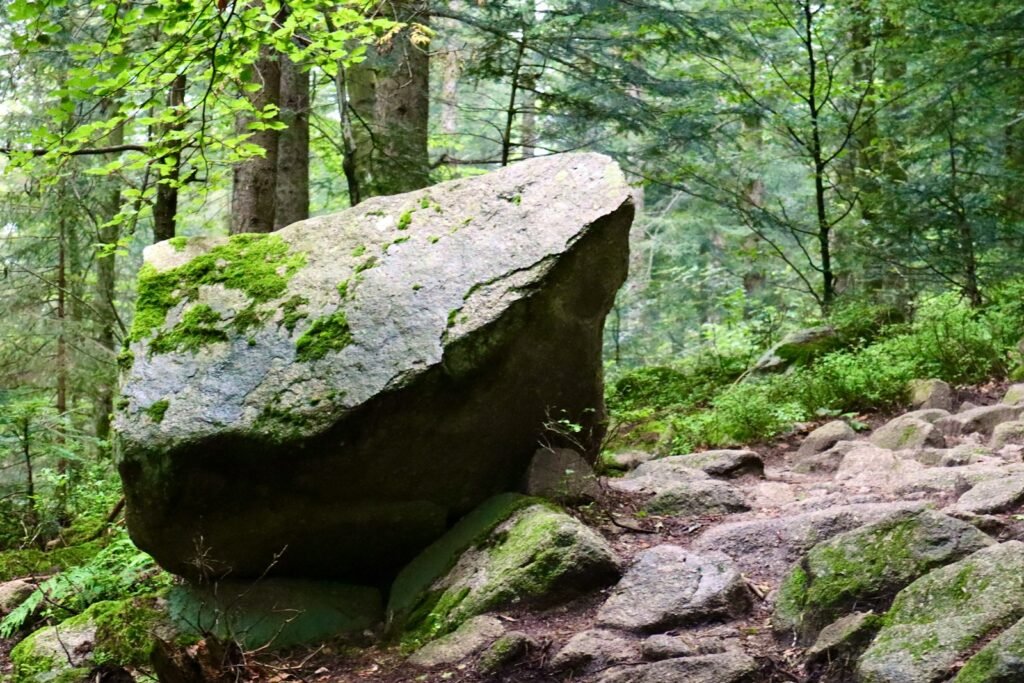 Gray rock formation surrounded by green trees during daytime