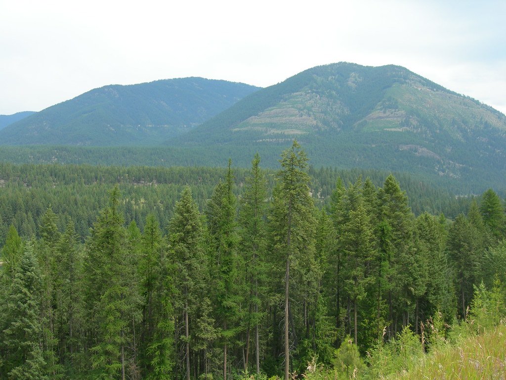 Montana wilderness