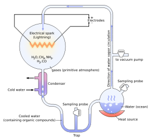 Miller-Urey Experiment