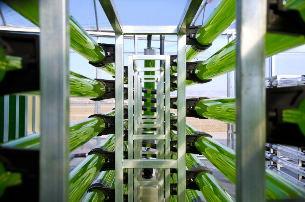 Tubular Photobioreactors.