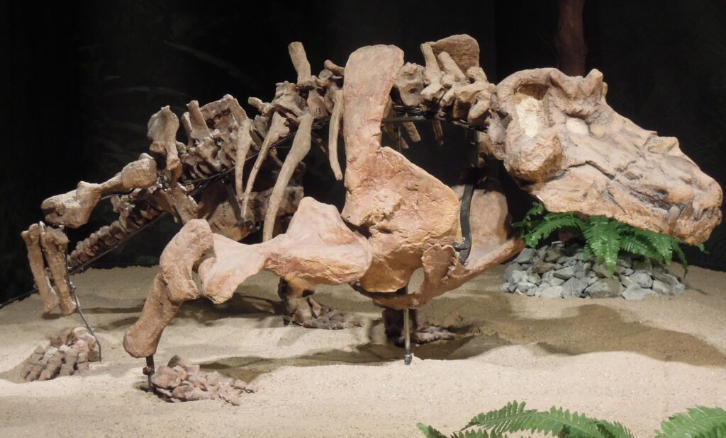 Estemmenosuchus
