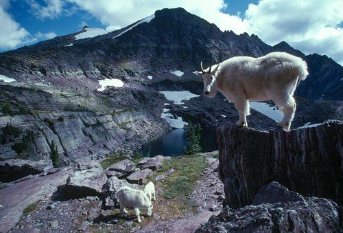 Glacier National Park, Montana, public land, wilderness