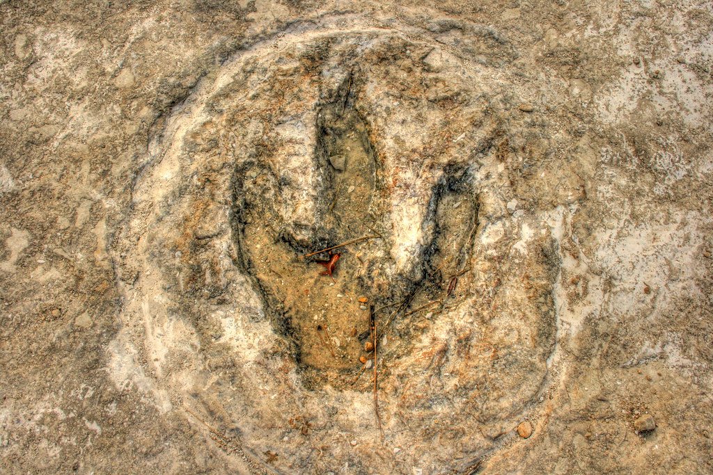 Dinosaur Footprint
