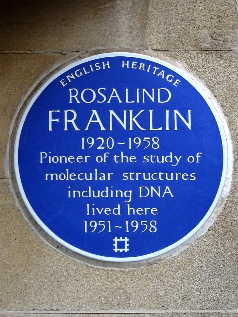 Rosalind Franklin, genetics, DNA