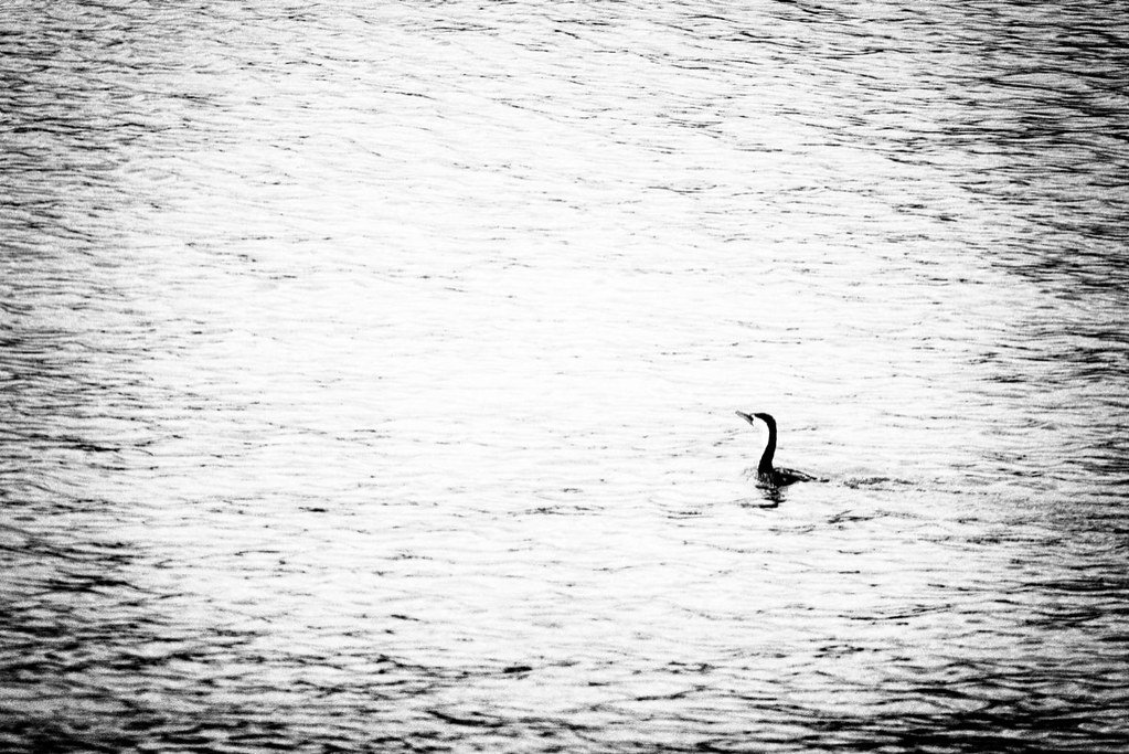 Loch Ness Monster