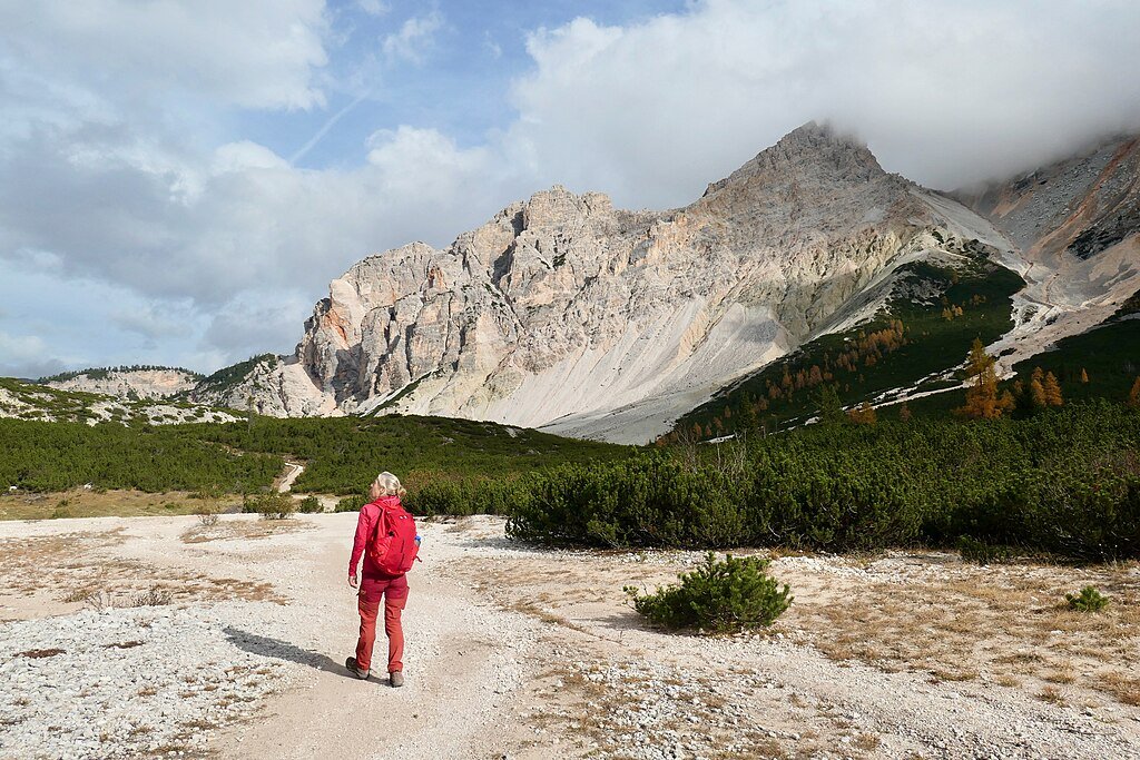 Dolomites, Italy, ghost forest