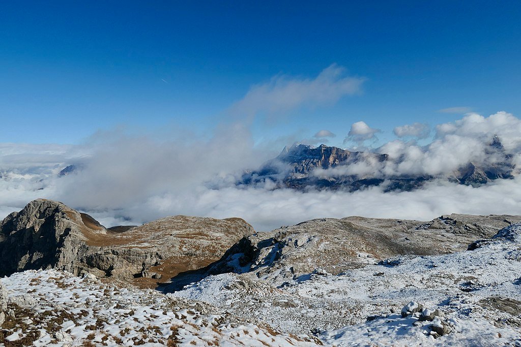 Dolomites, Italy, ghost trees, ghost forest