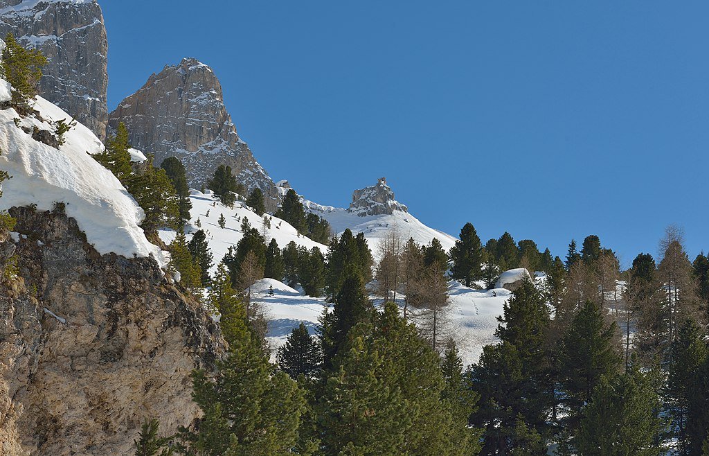 Dolomites, ghost trees, Italy