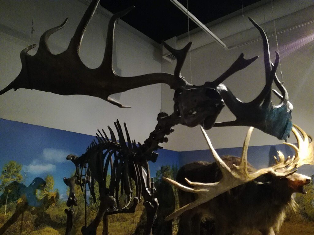 Ireland, dinosaur fossils