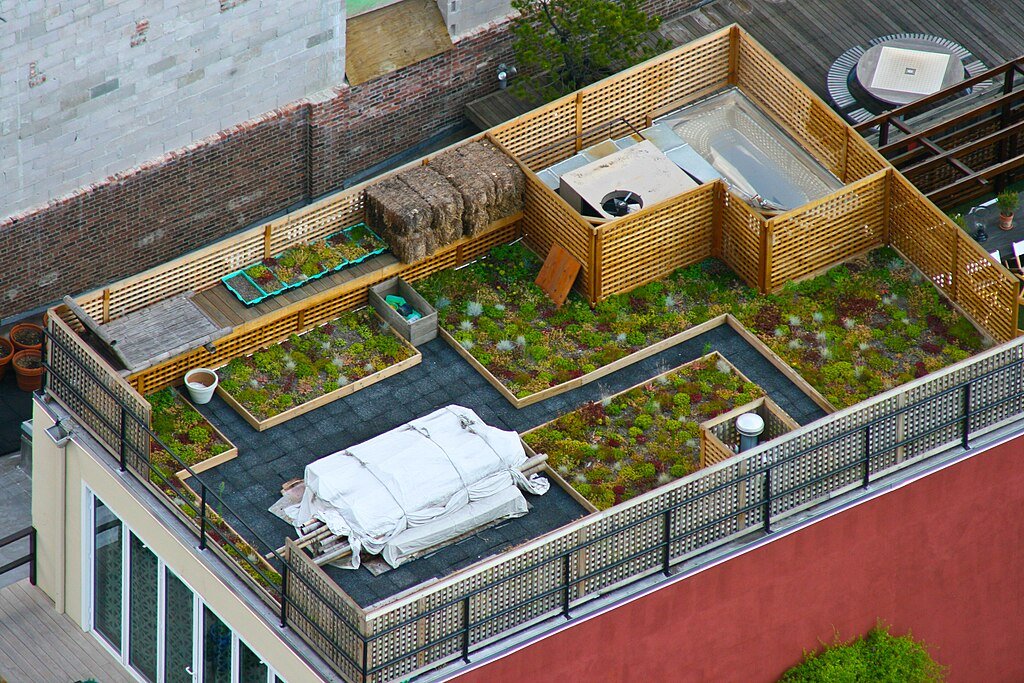 NYC green roof movement, roof garden